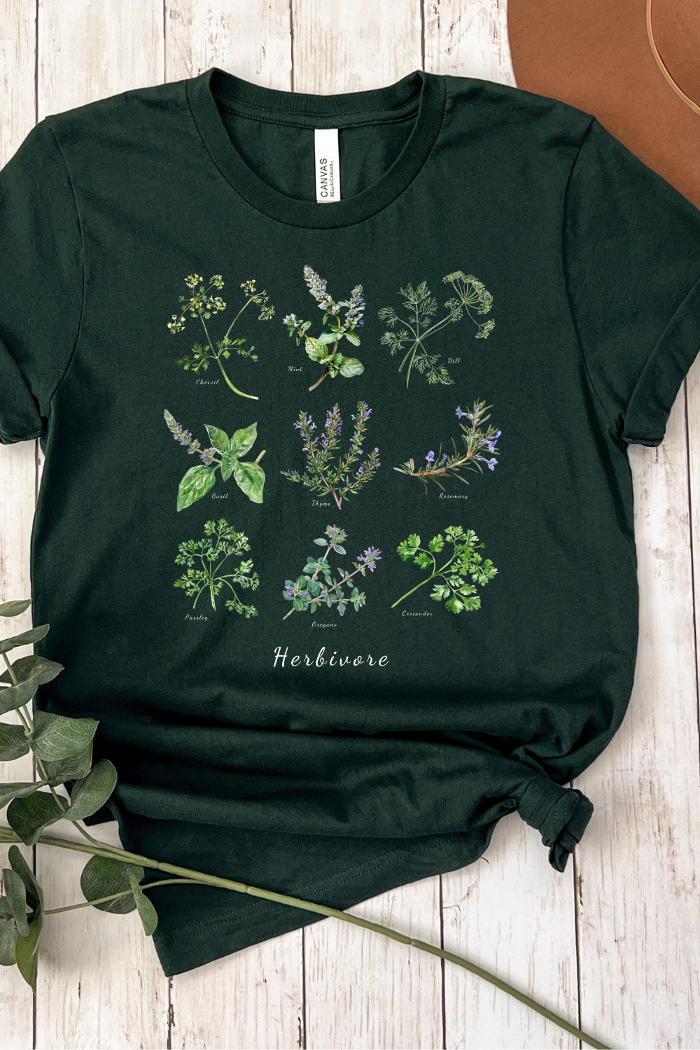 CAMISETA HERBÍVORO 🌿